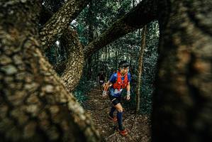 BIB: 
                            <button type="button" onclick="openModal(25708922)" class="btn btn-primary btn-sm float-right btn-popup" data-toggle="modal" data-target=".modal-high-quality">
                        <i class="fas fa-shopping-cart"></i> Add to Cart
                    </button>
                                            <button type="button" onclick="isThisMe(25708922, true)" class="btn btn-success btn-sm float-right btn-popup btn-isme hidden" data-toggle="tooltip" data-placement="bottom" title="นี่คือรูปของคุณใช่ไหม คลิกที่นี่เพื่อเอาเข้าอัลบั้ม">
                        <i class="fas fa-plus"></i> Add to album
                    </button>
                    <button type="button" onclick="isThisMe(25708922, false)" class="btn btn-warning btn-sm float-right btn-popup btn-isnotme hidden">
                        <i class="fas fa-ban"></i> Remove from album
                    </button>